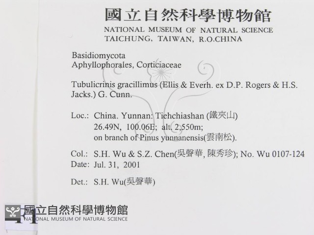 登錄號:F0013590藏品圖，第2張
