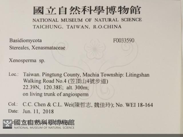 登錄號:F0033590藏品圖，第2張