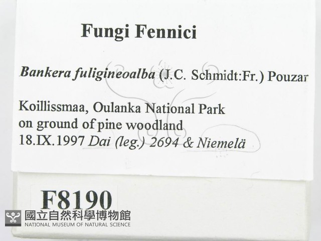登錄號:F0008190藏品圖，第2張