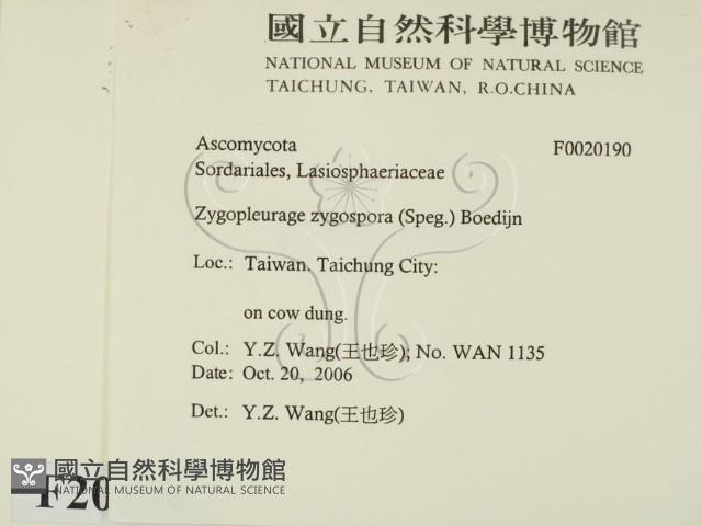 登錄號:F0020190藏品圖，第2張