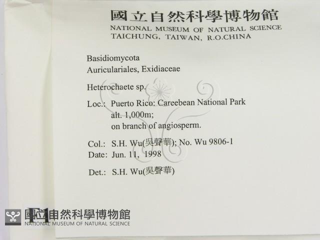 刺皮菌屬藏品圖，第2張