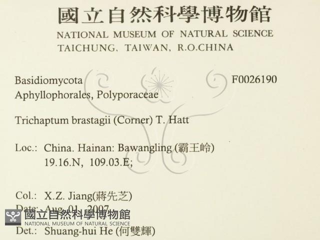 登錄號:F0026190藏品圖，第2張