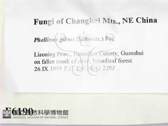 登錄號:F0006190藏品圖，第2張