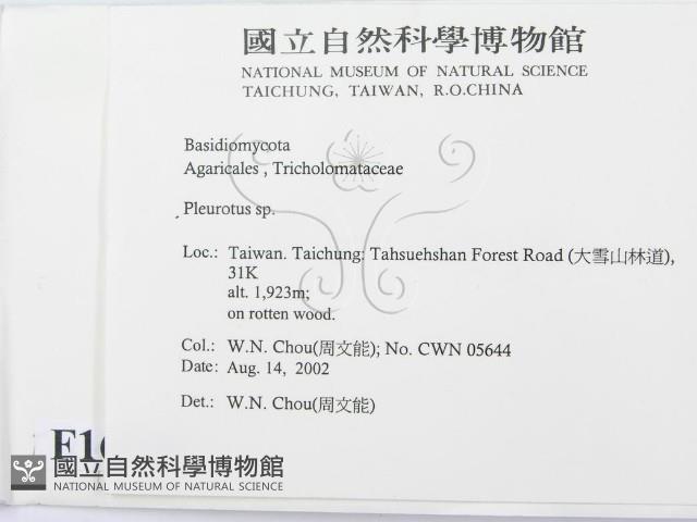 登錄號:F0016190藏品圖，第2張