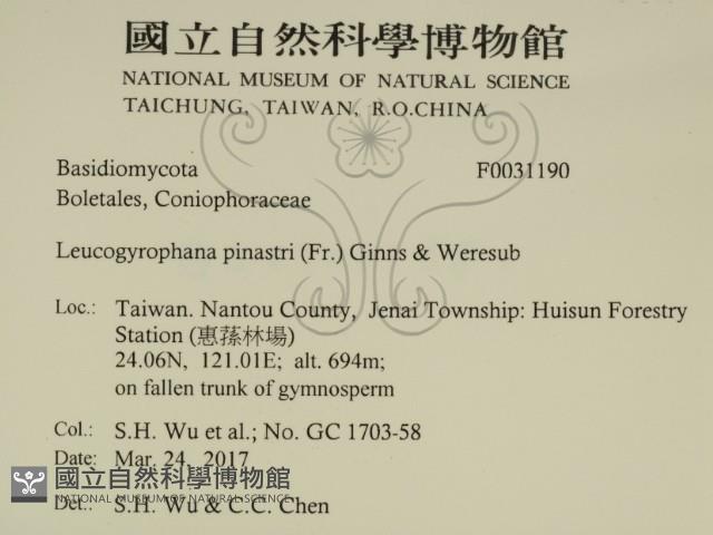 登錄號:F0031190藏品圖，第2張