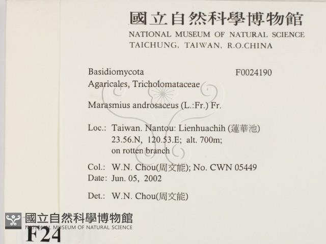 登錄號:F0024190藏品圖，第2張