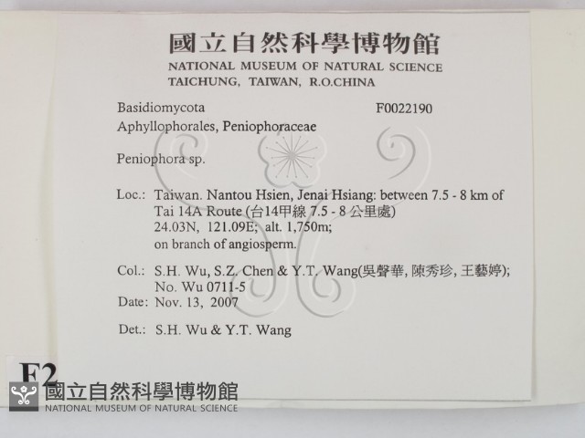 筍殼菌屬藏品圖，第2張