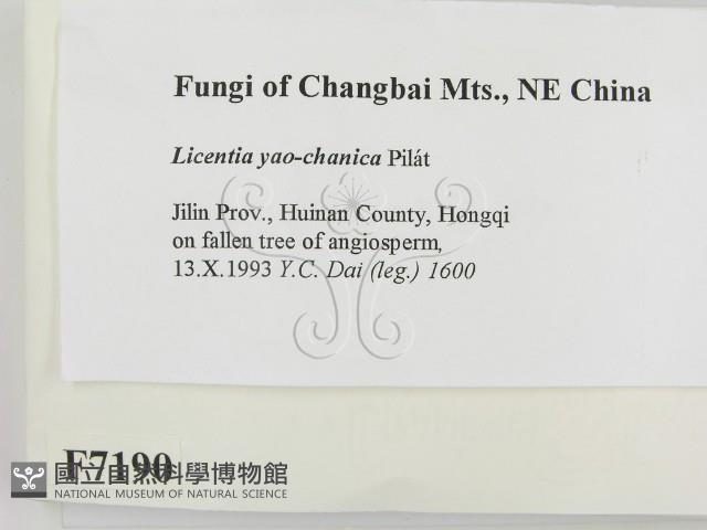 登錄號:F0007190藏品圖，第2張