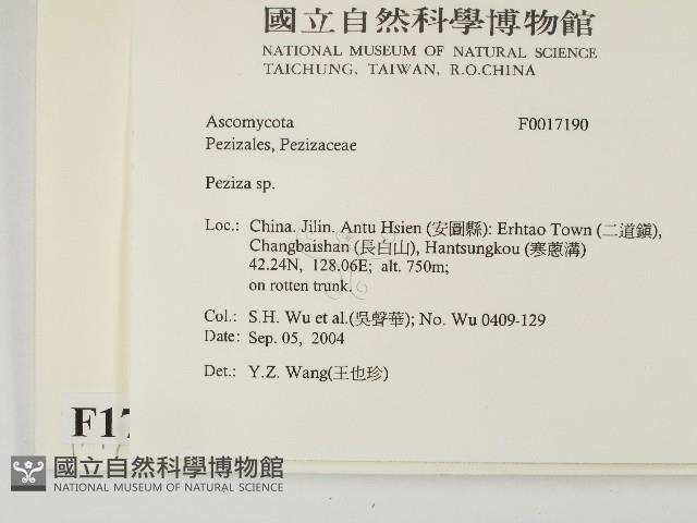 登錄號:F0017190藏品圖，第2張