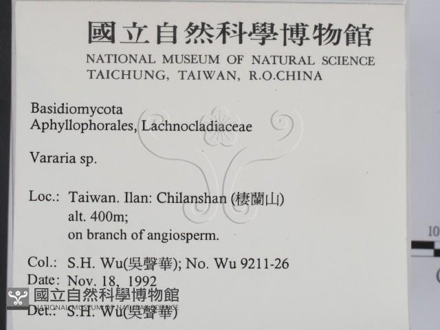 登錄號:F0015190藏品圖，第2張