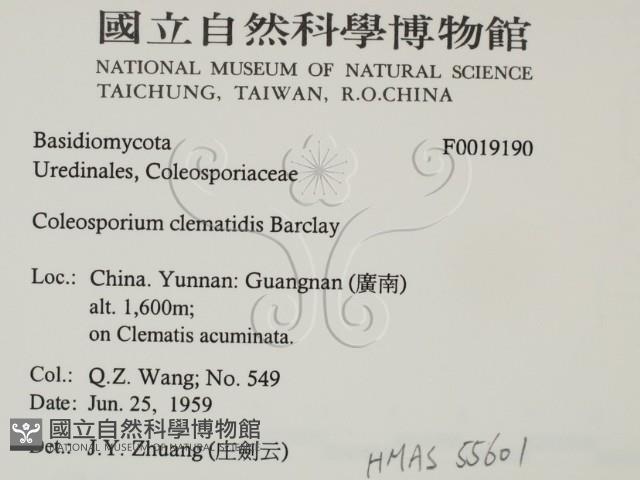 登錄號:F0019190藏品圖，第2張