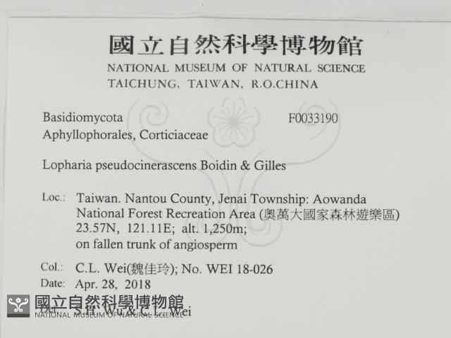 登錄號:F0033190藏品圖，第2張