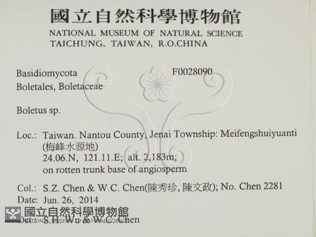 登錄號:F0028090藏品圖，第2張