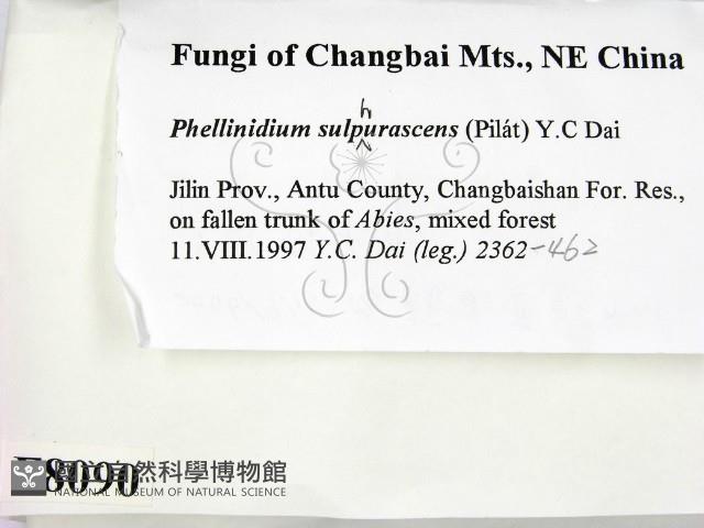 登錄號:F0008090藏品圖，第2張