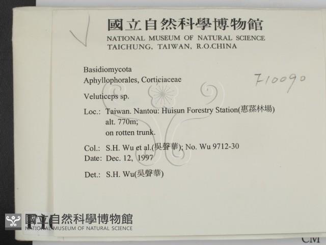 登錄號:F0010090藏品圖，第2張