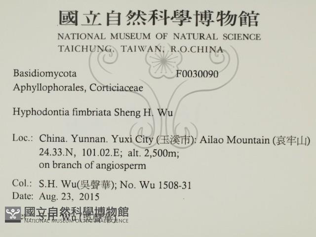 登錄號:F0030090藏品圖，第2張