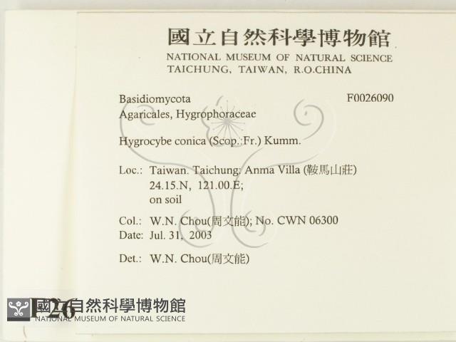 登錄號:F0026090藏品圖，第2張