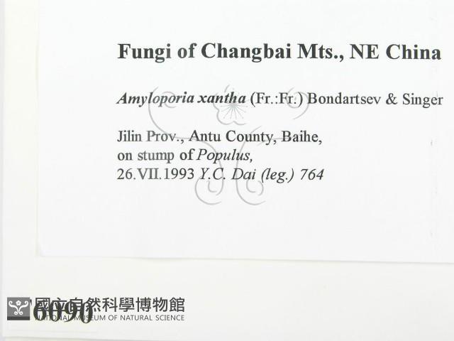 登錄號:F0006090藏品圖，第2張