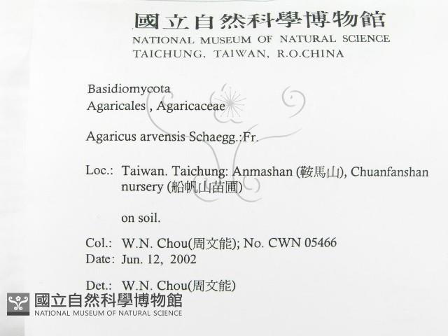 登錄號:F0016090藏品圖，第2張