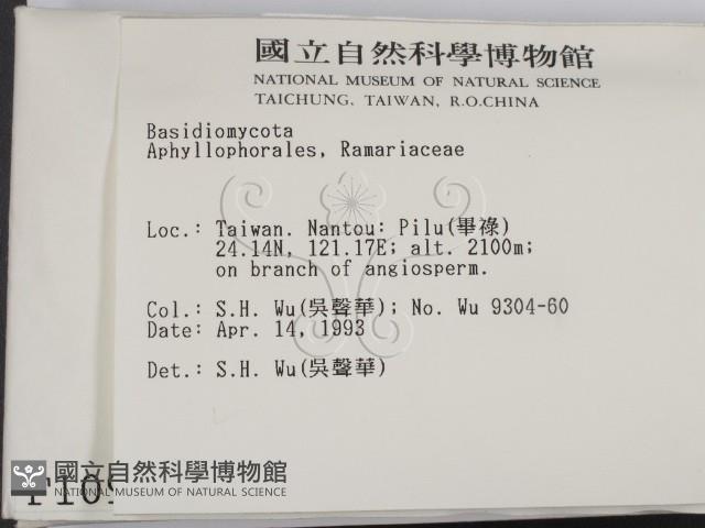 登錄號:F0001090藏品圖，第2張
