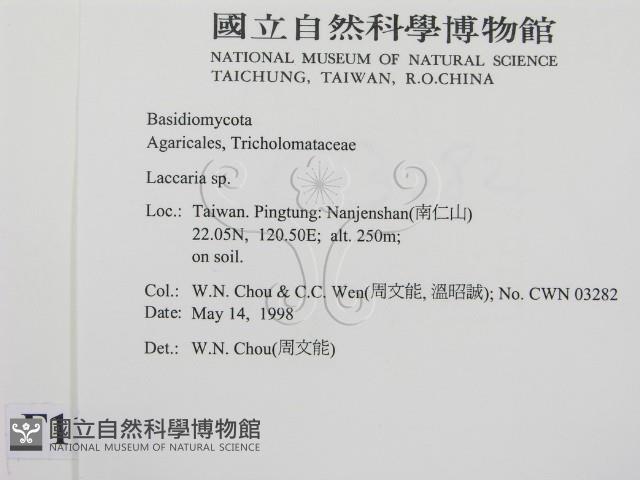 登錄號:F0011090藏品圖，第2張