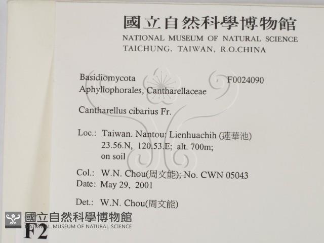 登錄號:F0024090藏品圖，第2張