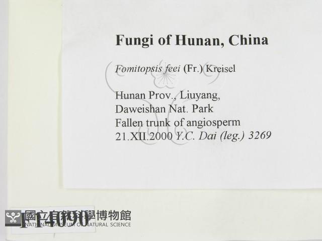登錄號:F0014090藏品圖，第2張