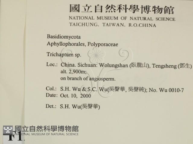 附毛菌屬藏品圖，第2張