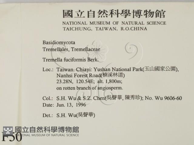 登錄號:F0005090藏品圖，第2張