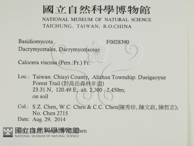 登錄號:F0028390藏品圖，第2張