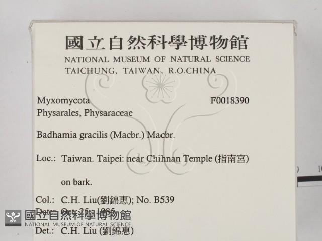 登錄號:F0018390藏品圖，第2張