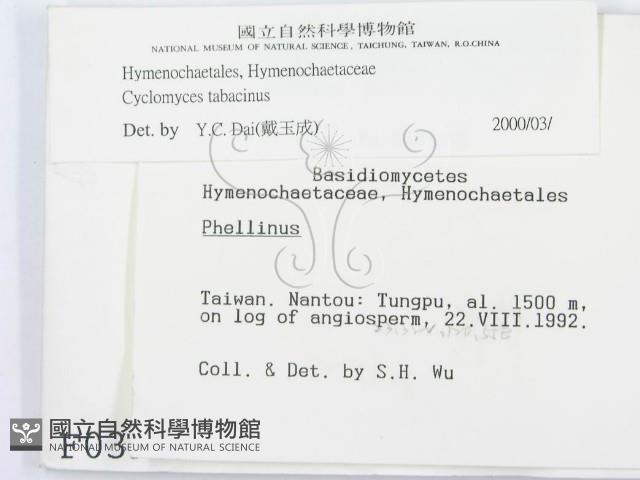 登錄號:F0000390藏品圖，第2張