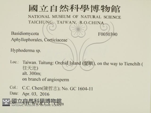 登錄號:F0030390藏品圖，第2張