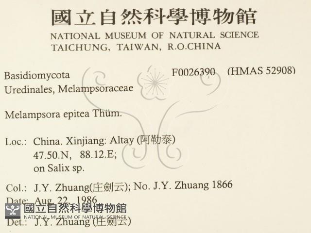 登錄號:F0026390藏品圖，第2張