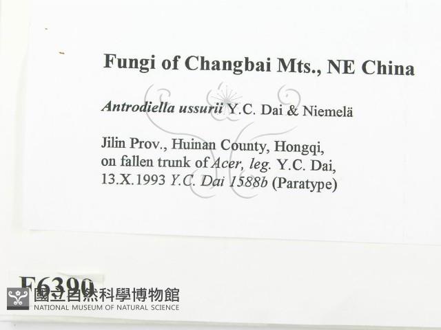 登錄號:F0006390藏品圖，第2張