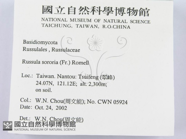 登錄號:F0016390藏品圖，第2張