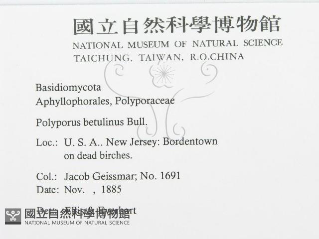 登錄號:F0011390藏品圖，第2張