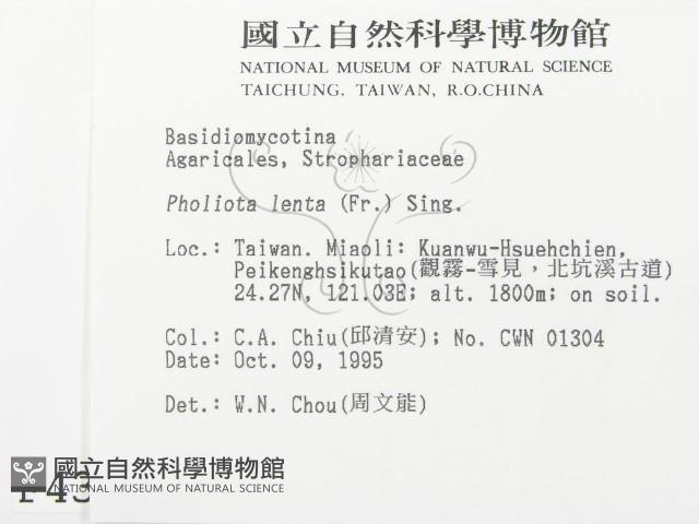 登錄號:F0004390藏品圖，第2張