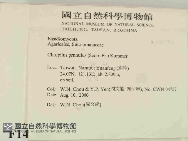 登錄號:F0014390藏品圖，第2張