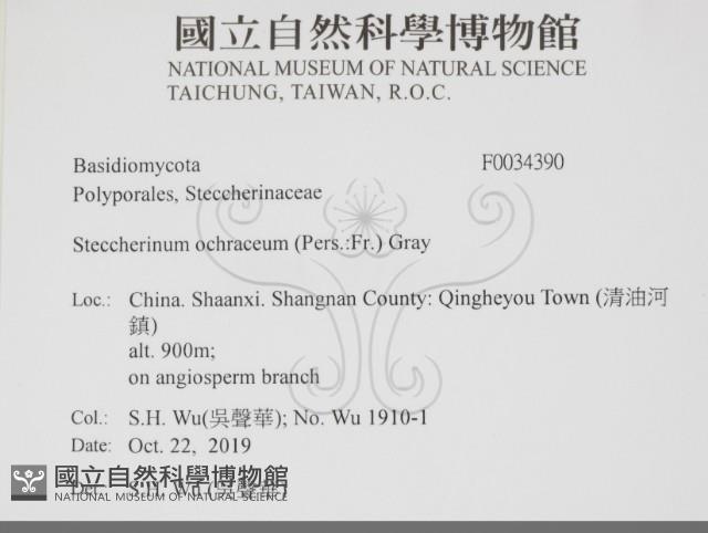 登錄號:F0034390藏品圖，第2張