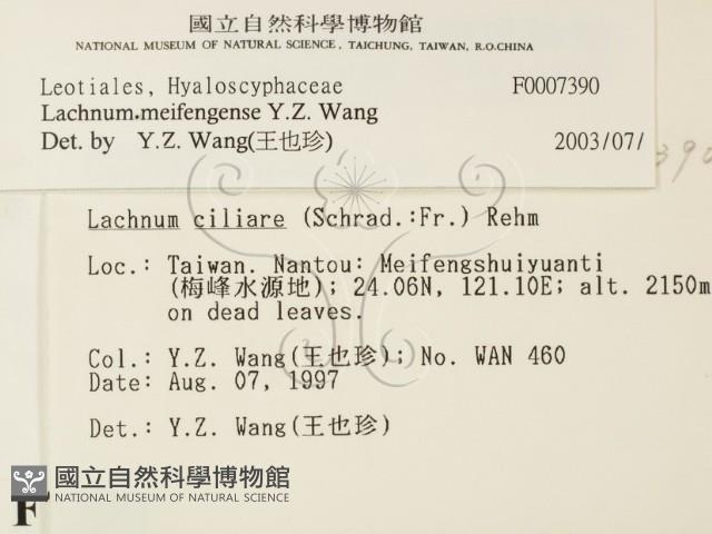 登錄號:F0007390藏品圖，第2張