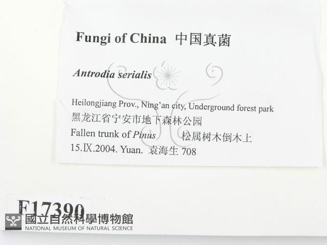 登錄號:F0017390藏品圖，第2張