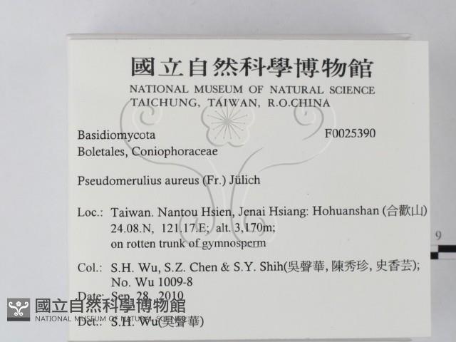 登錄號:F0025390藏品圖，第2張