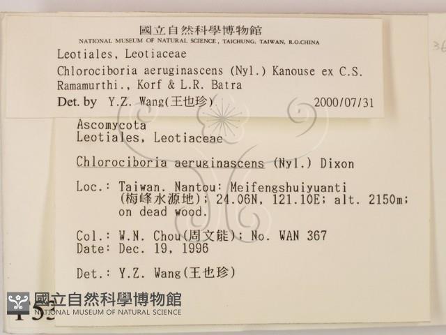登錄號:F0005390藏品圖，第2張