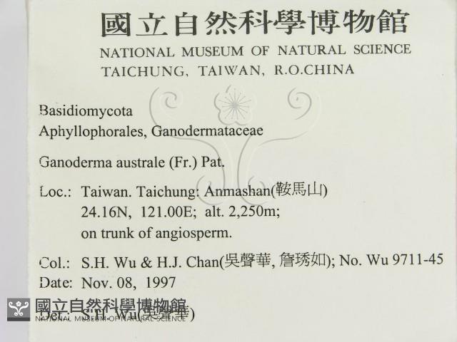 登錄號:F0009390藏品圖，第2張