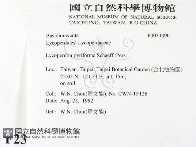 登錄號:F0023390藏品圖，第2張