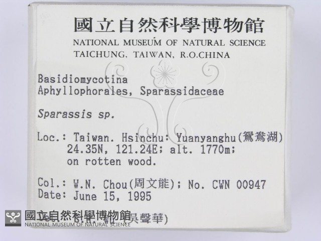 登錄號:F0003390藏品圖，第2張