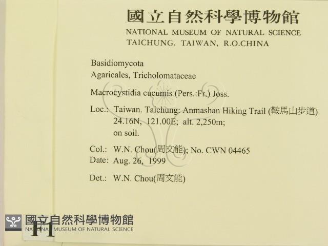登錄號:F0013390藏品圖，第2張