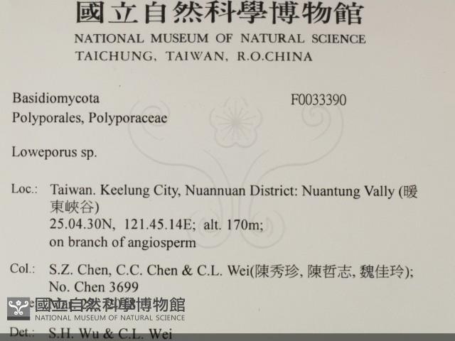 登錄號:F0033390藏品圖，第2張