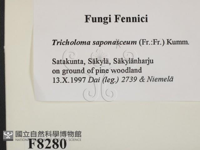 登錄號:F0008280藏品圖，第2張